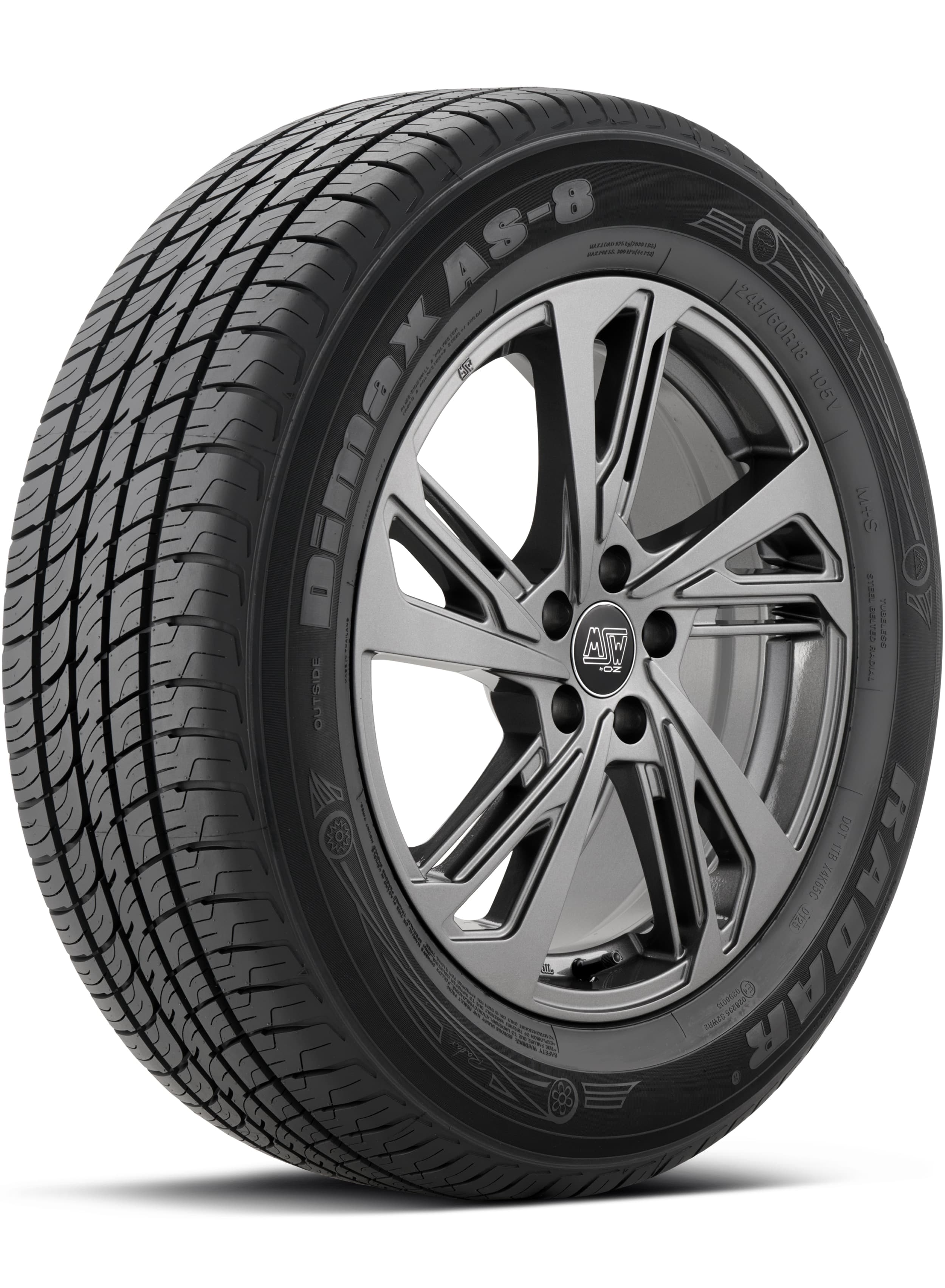Radar Dimax AS-8 Grand Touring All-Season DSC0313 295/25R22 tire